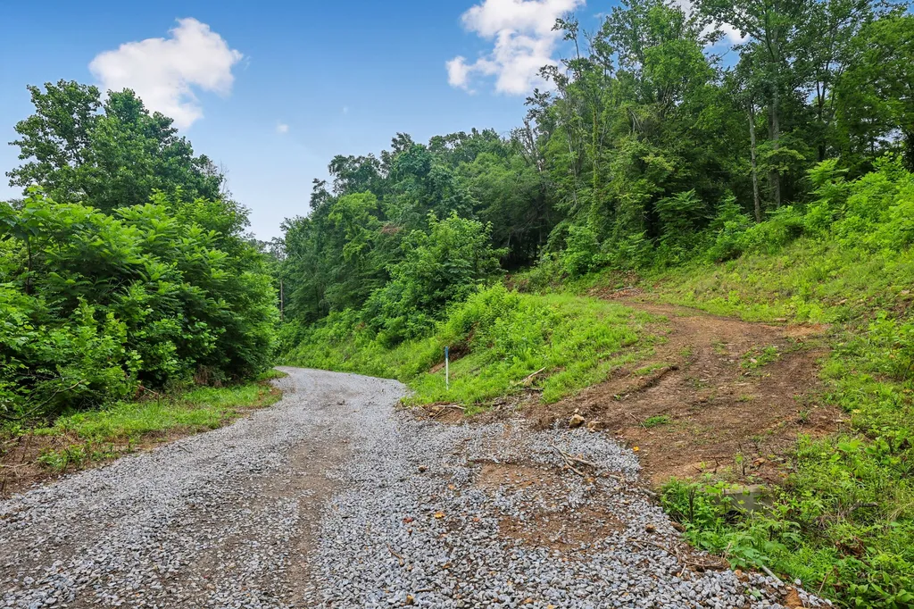 1196 Lula Lane Franklin TN 37064