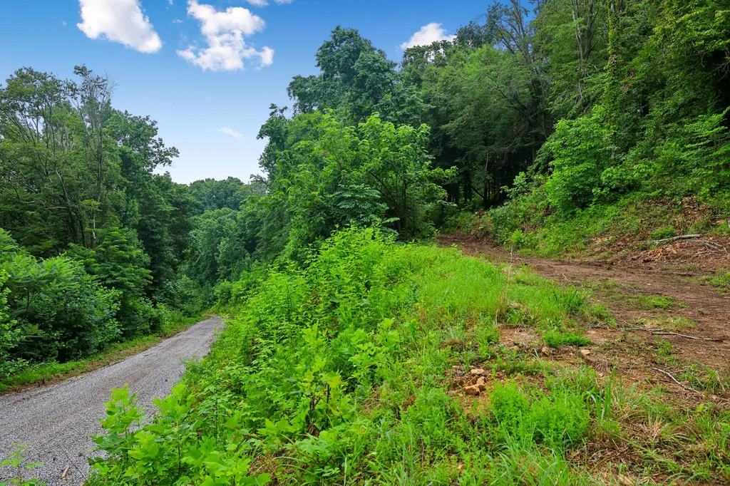 1196 Lula Lane Franklin TN 37064