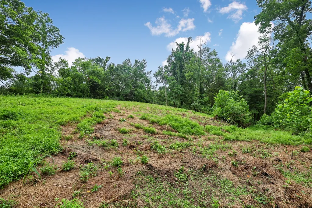 1196 Lula Lane Franklin TN 37064