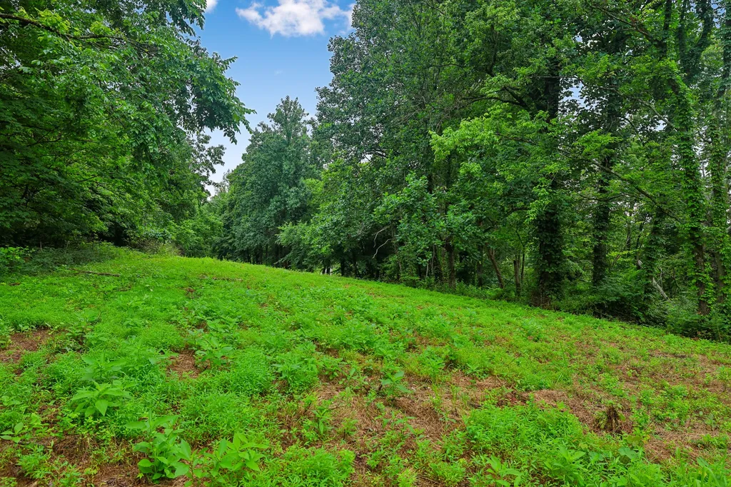 1196 Lula Lane Franklin TN 37064