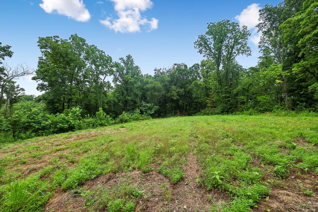1196 Lula Lane Franklin TN 37064