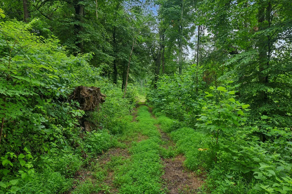 1196 Lula Lane Franklin TN 37064