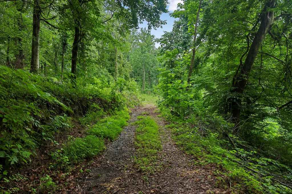 1196 Lula Lane Franklin TN 37064