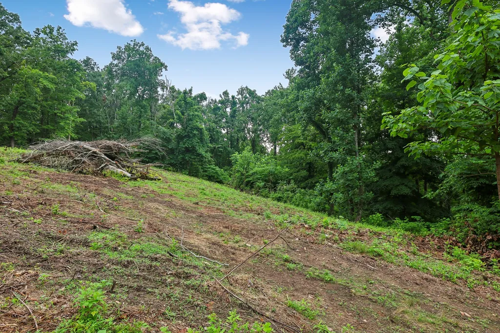1196 Lula Lane Franklin TN 37064