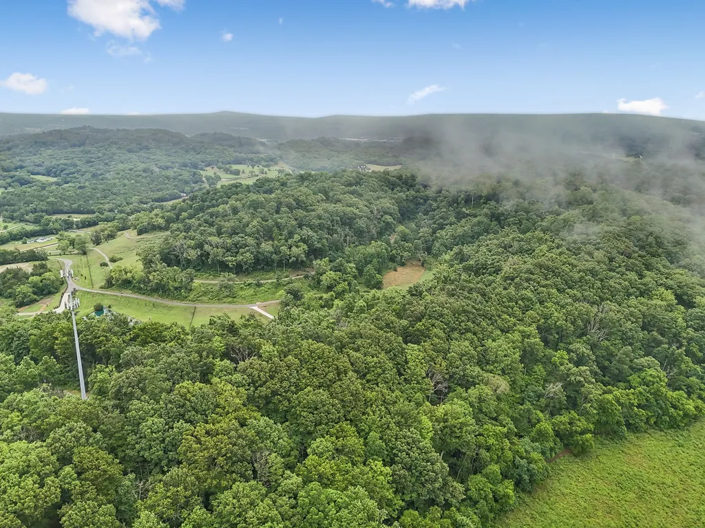 1196 Lula Lane Franklin TN 37064