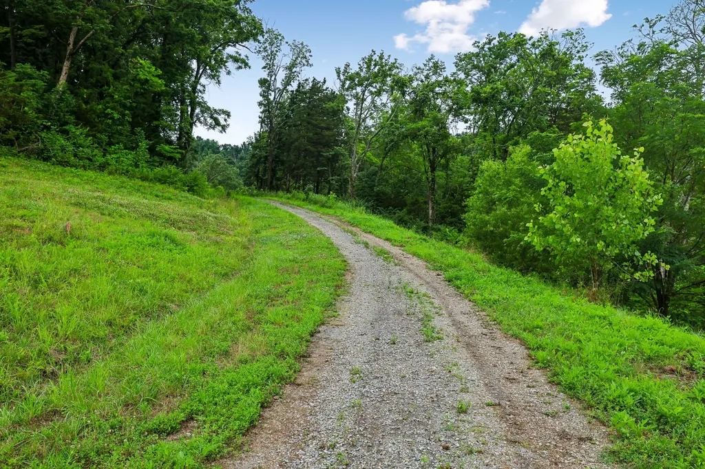 1196 Lula Lane Franklin TN 37064