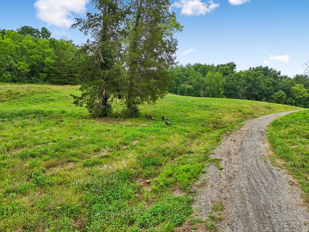 1196 Lula Lane Franklin TN 37064