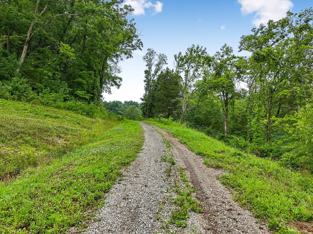 1196 Lula Lane Franklin TN 37064