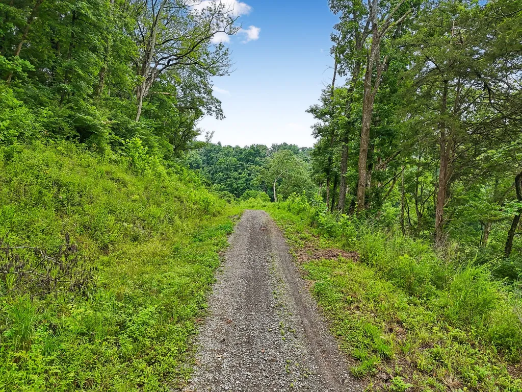 1196 Lula Lane Franklin TN 37064