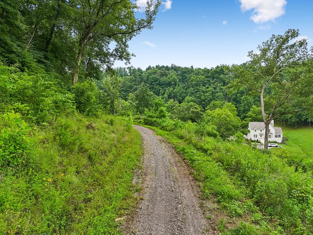 1196 Lula Lane Franklin TN 37064