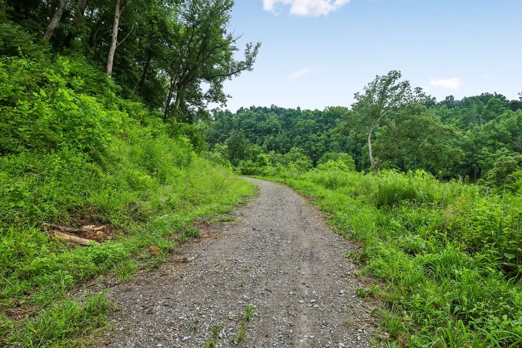 1196 Lula Lane Franklin TN 37064