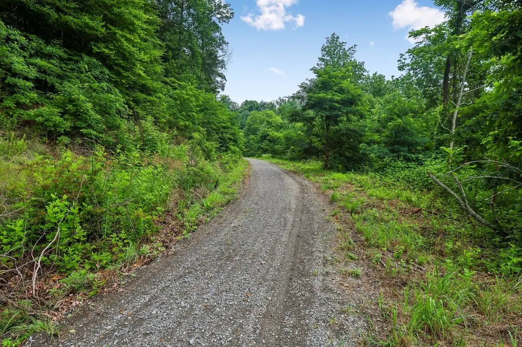 1196 Lula Lane Franklin TN 37064