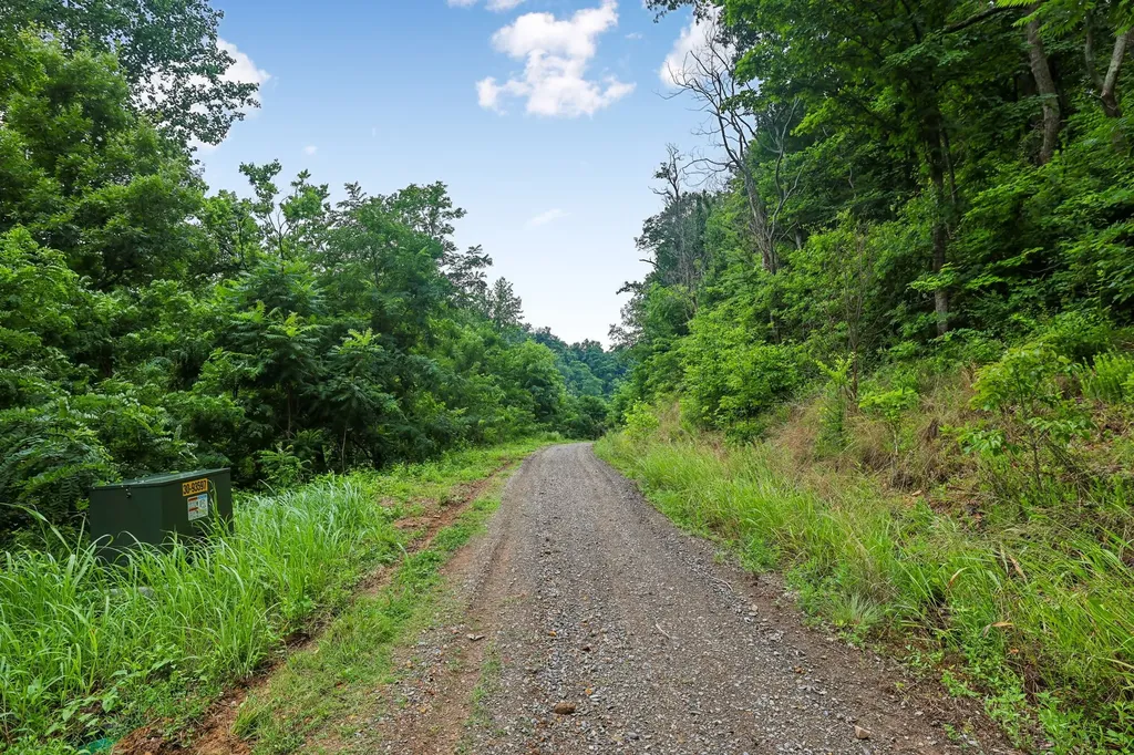 1196 Lula Lane Franklin TN 37064