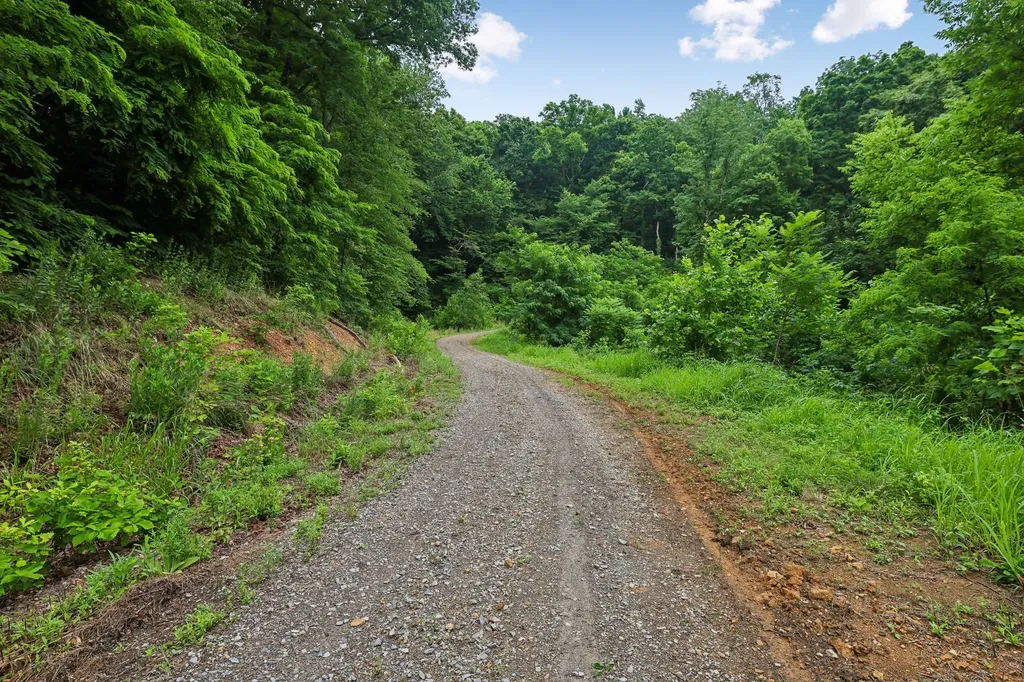 1196 Lula Lane Franklin TN 37064