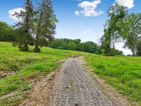 1196 Lula Lane Franklin TN 37064