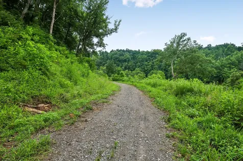 1196 Lula Lane Franklin TN 37064