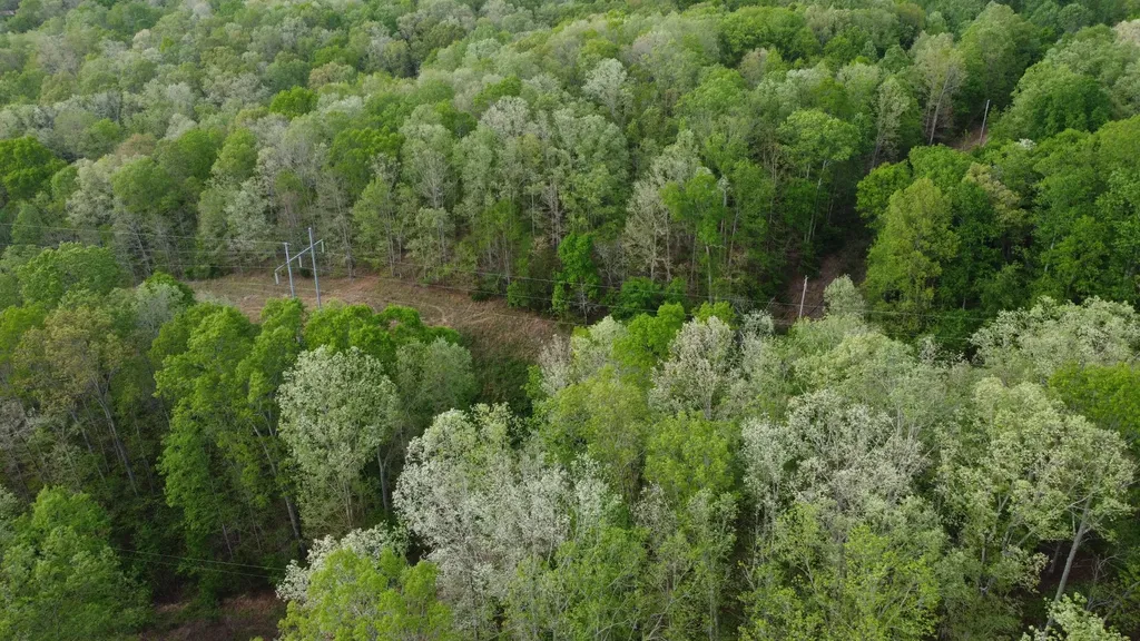 455 Moss Spring Hollow Road Centerville TN 37033