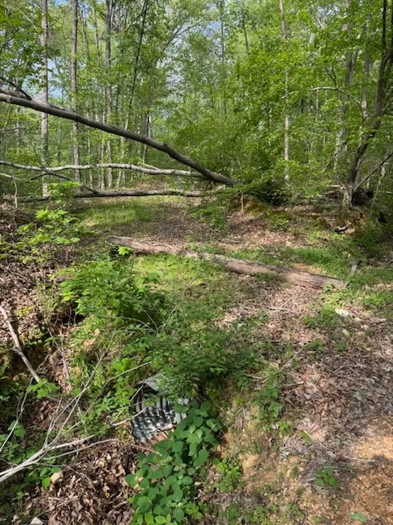 455 Moss Spring Hollow Road Centerville TN 37033
