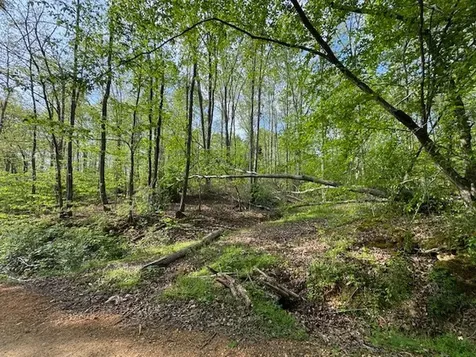 455 Moss Spring Hollow Road Centerville TN 37033