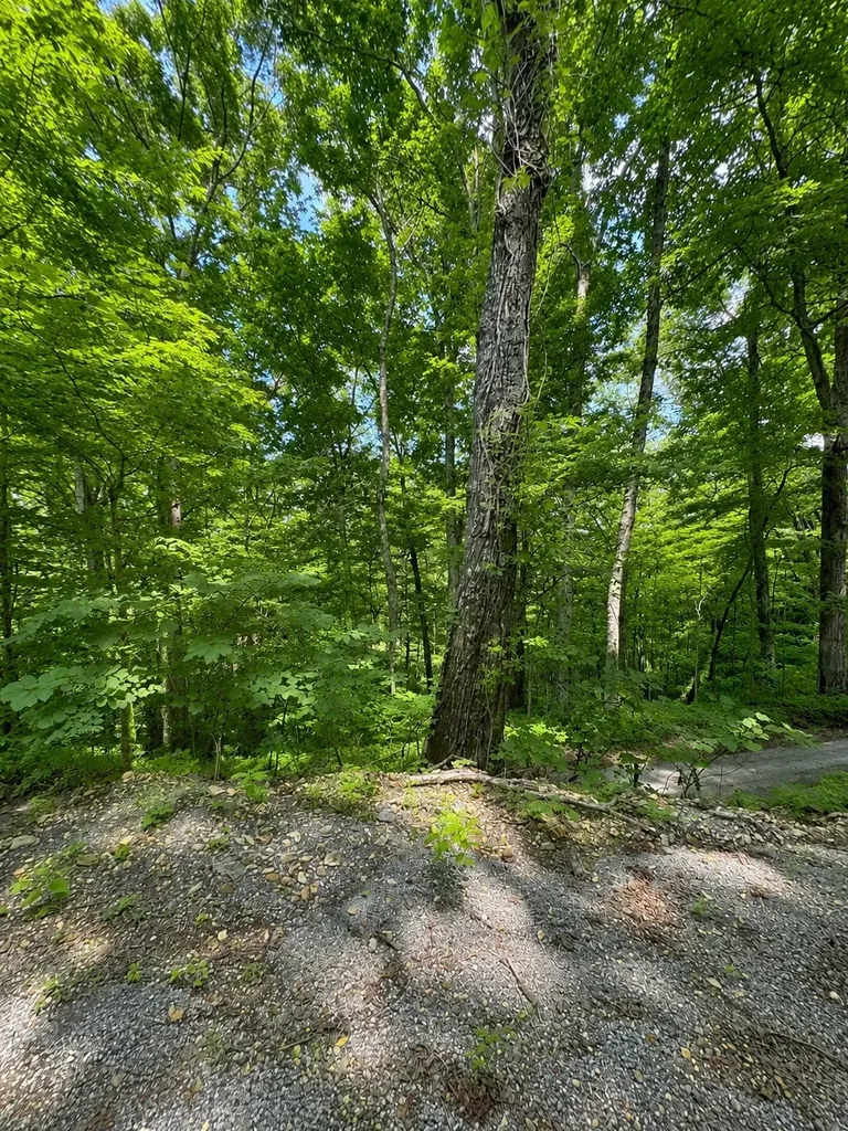 0 Lakeside Drive Smithville TN 37166