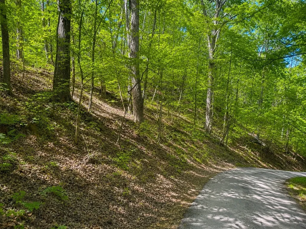 0 Lakeside Drive Smithville TN 37166