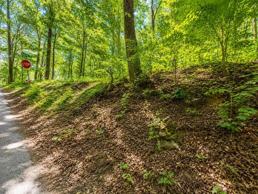 0 Lakeside Drive Smithville TN 37166