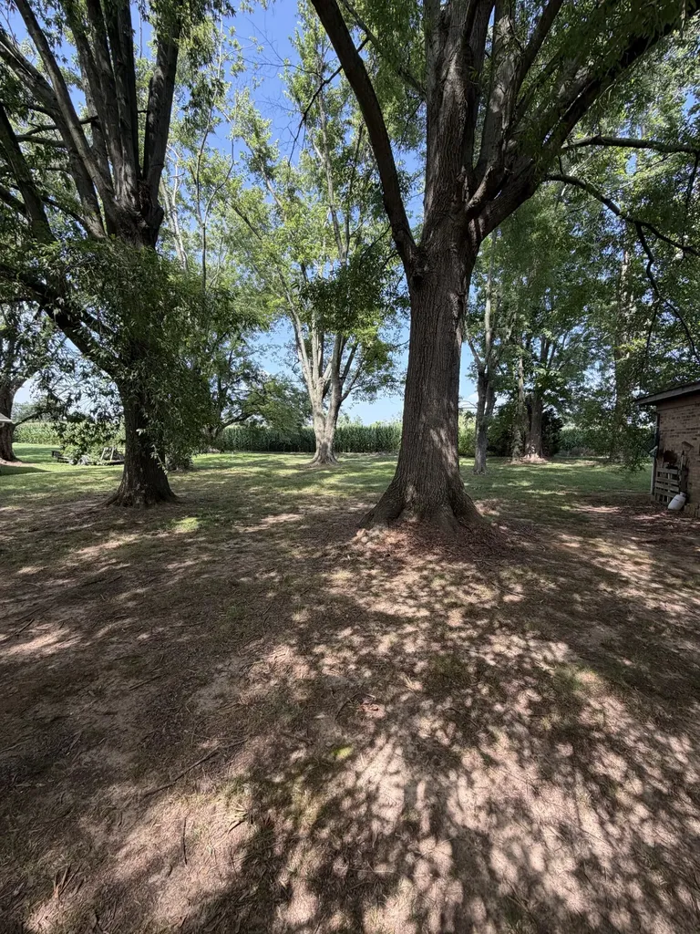 108 Riggs Avenue Portland TN 37148