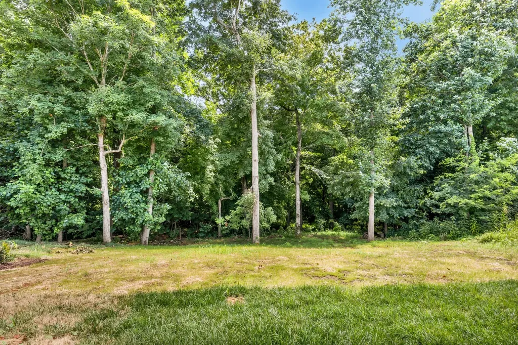 578 Pongracz Way Clarksville TN 37042
