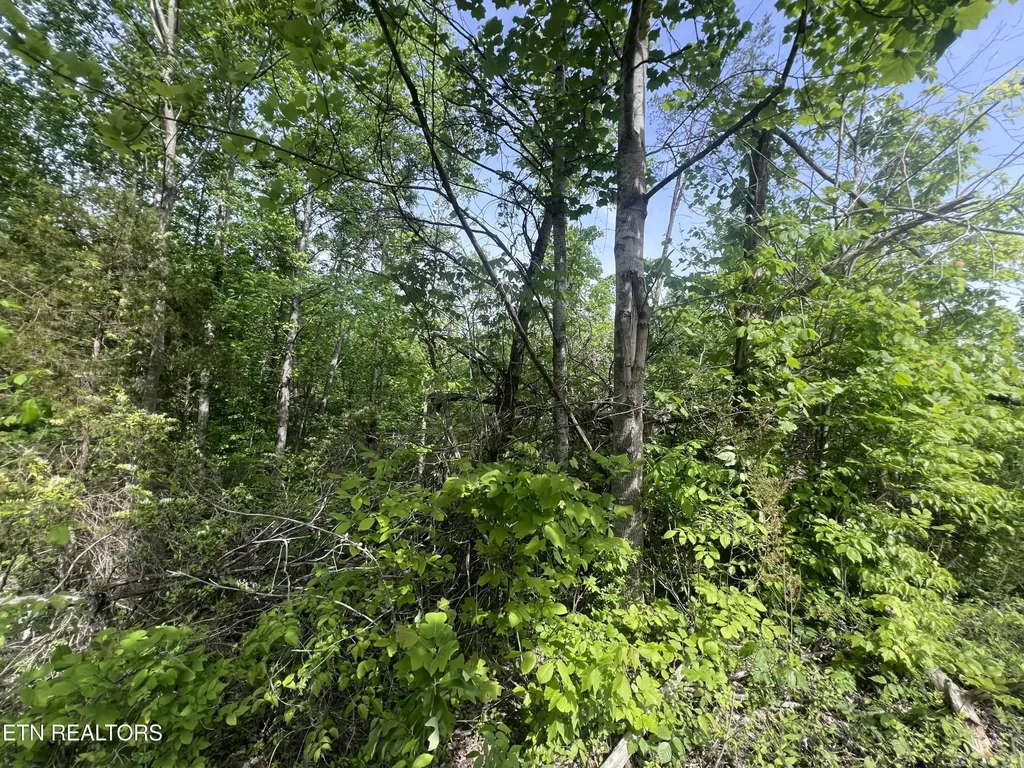 0 Big Hollow Road Monroe TN 38573