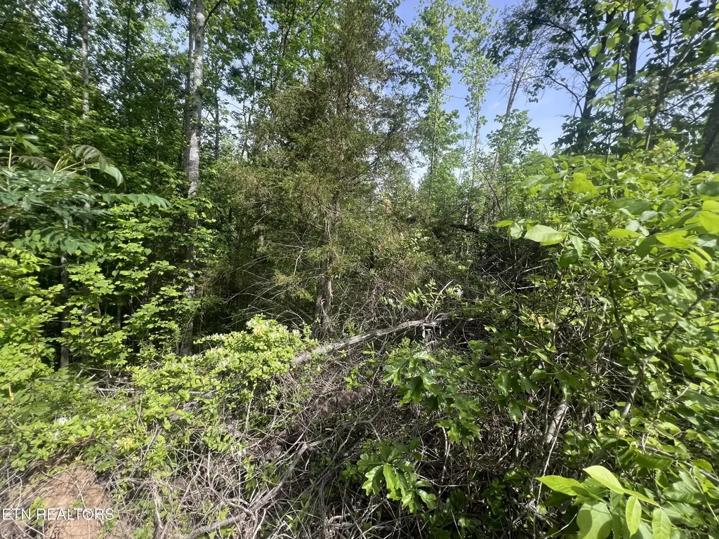 0 Big Hollow Road Monroe TN 38573