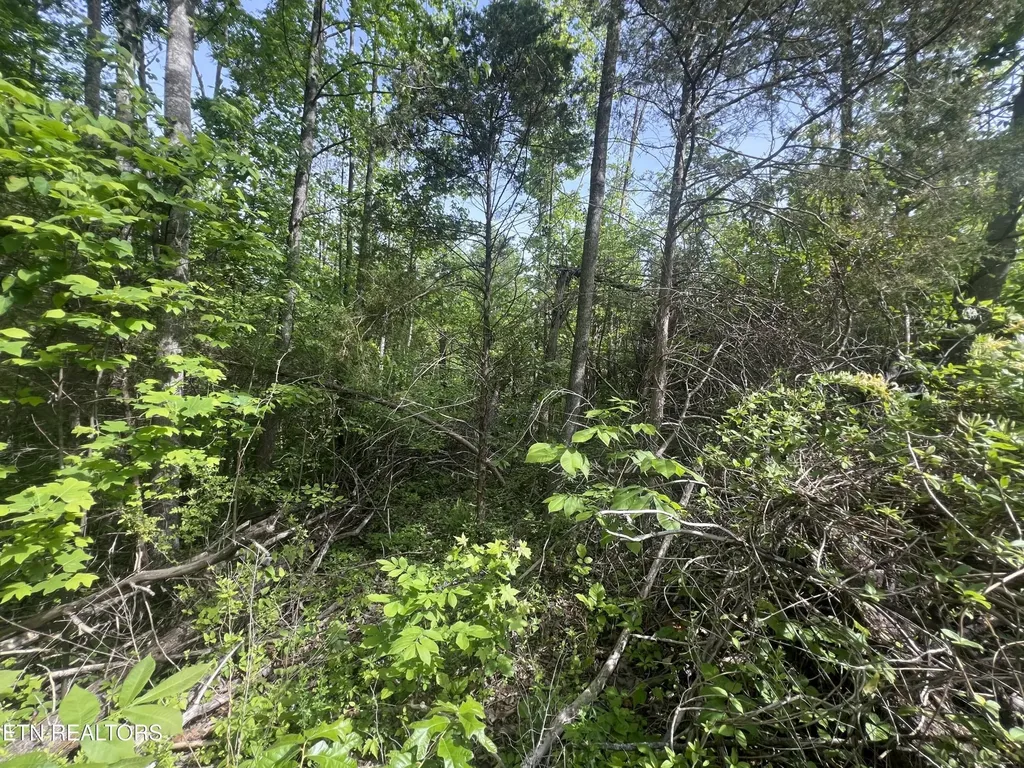 0 Big Hollow Road Monroe TN 38573