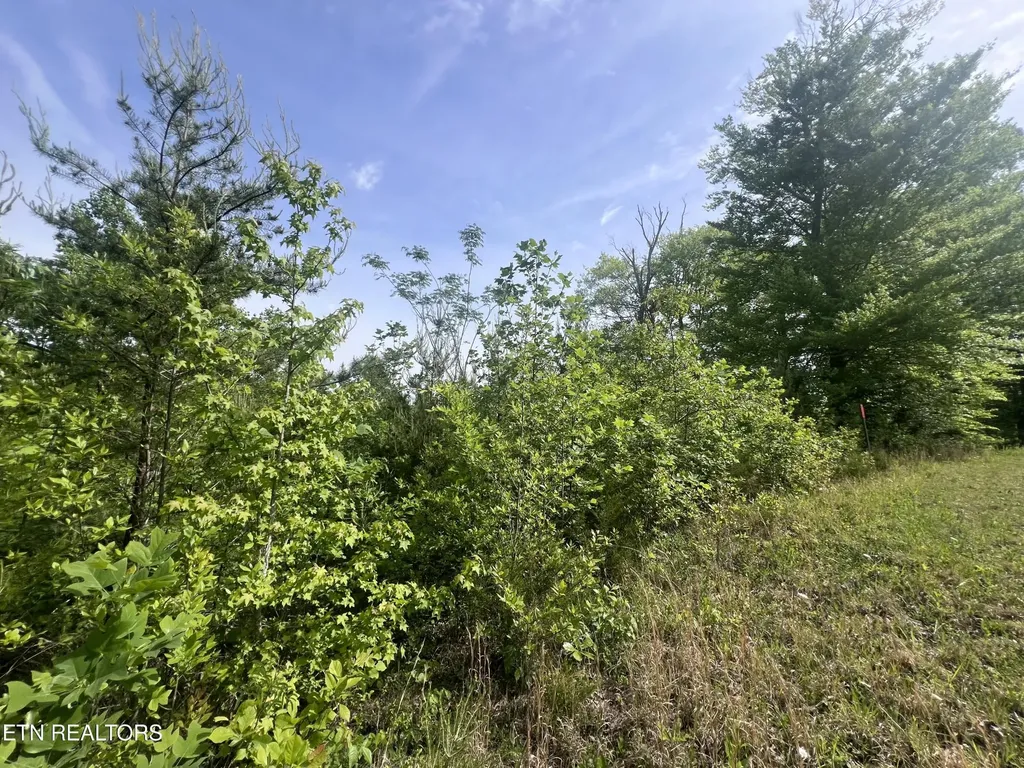 0 Big Hollow Road Monroe TN 38573