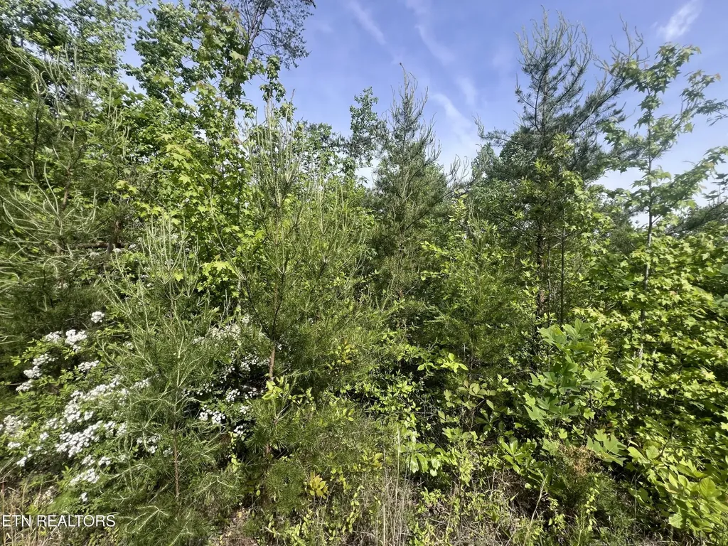 0 Big Hollow Road Monroe TN 38573
