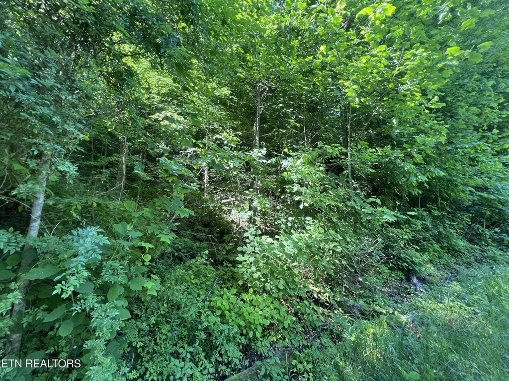 0 Apache Road Jamestown TN 38556