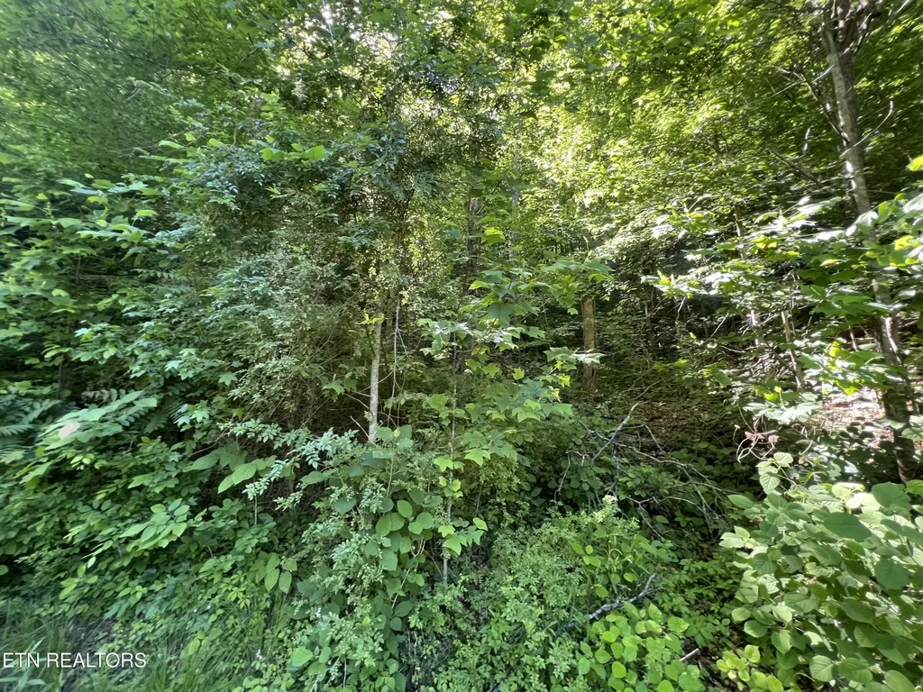 0 Apache Road Jamestown TN 38556