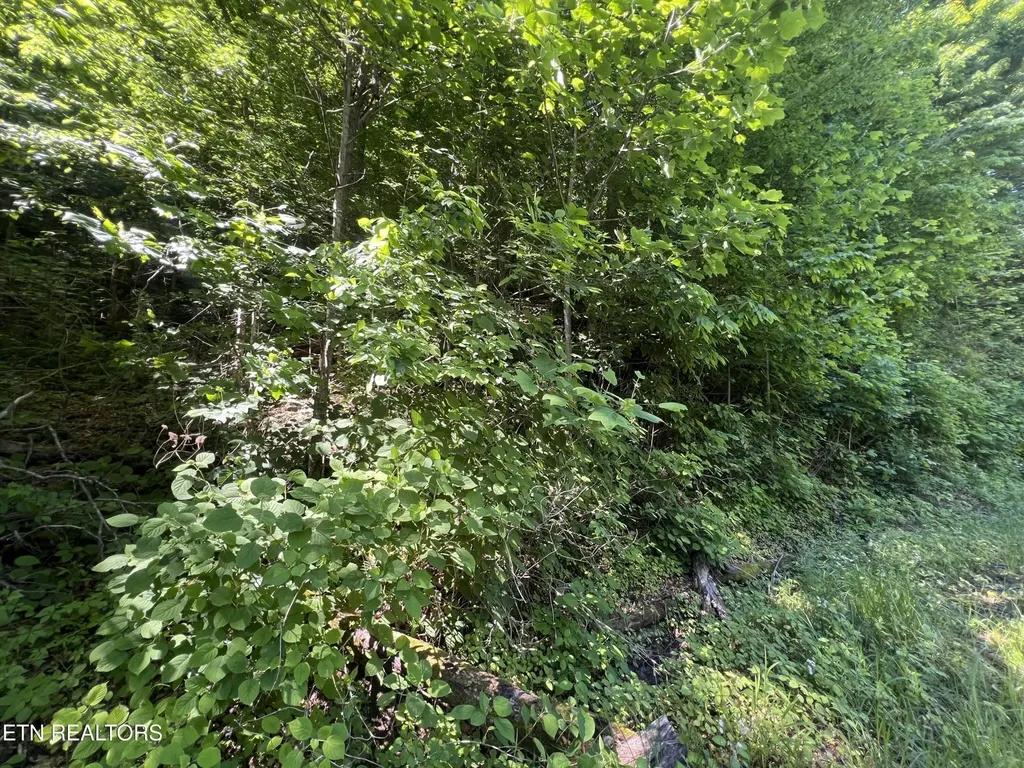 0 Apache Road Jamestown TN 38556