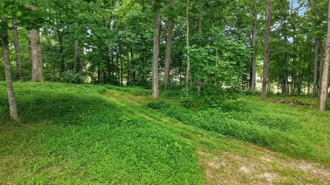 3038 Gideon Road Greenbrier TN 37073
