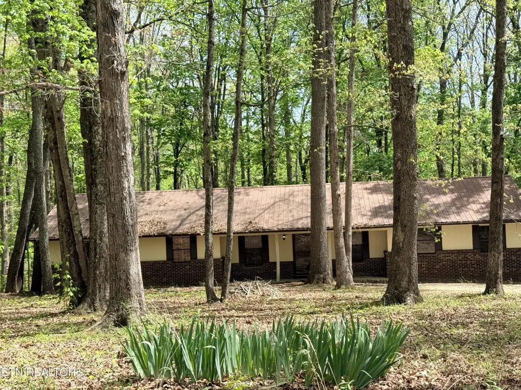 549 Yellow Cliff Estates Road Jamestown TN 38556