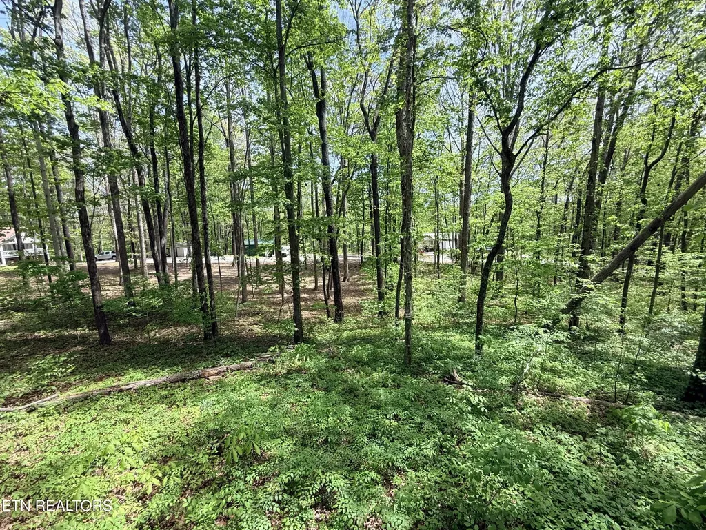549 Yellow Cliff Estates Road Jamestown TN 38556
