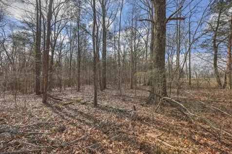 234 Bluegrass Circle Lebanon TN 37090