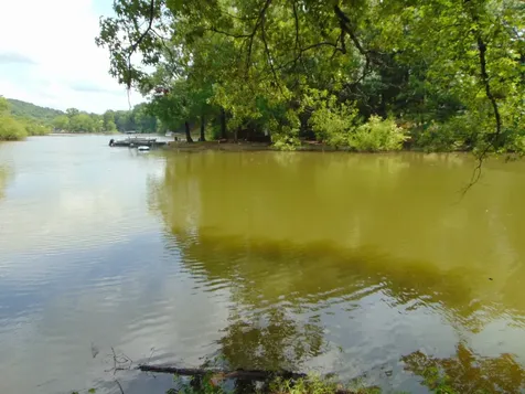 1 Beech Creek Loop Clifton TN 38425