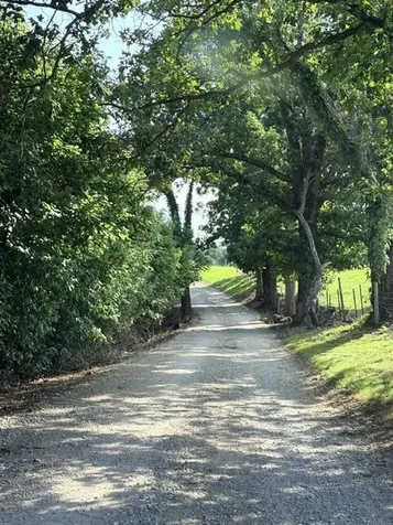 455 Hidden Ridge Lane Estill Springs TN 37330