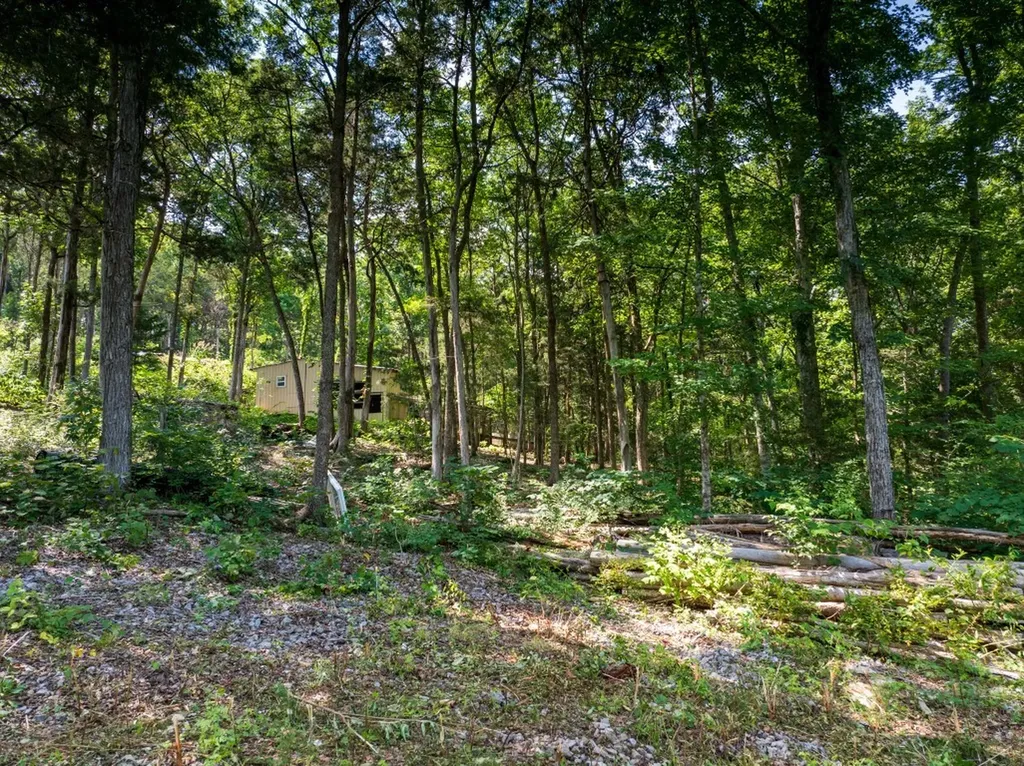 0 Mcelroy Road Readyville TN 37149