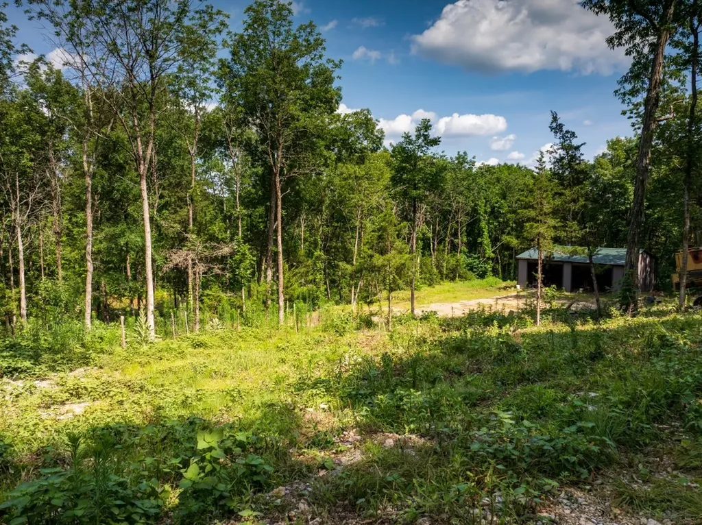 0 Mcelroy Road Readyville TN 37149