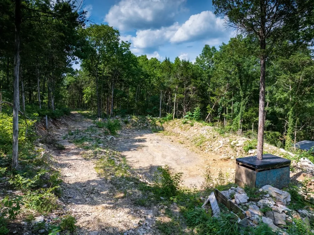 0 Mcelroy Road Readyville TN 37149