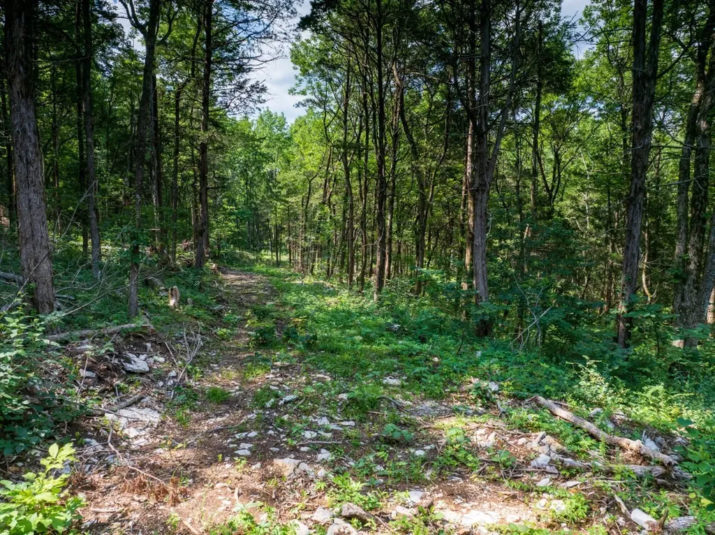 0 Mcelroy Road Readyville TN 37149