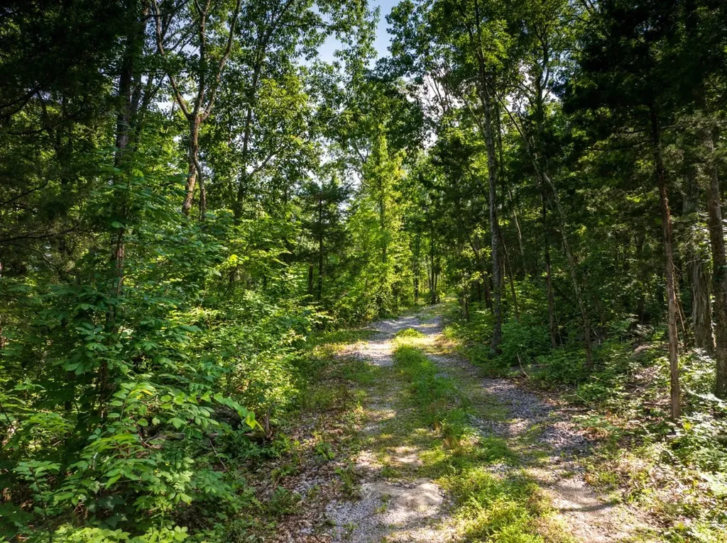 0 Mcelroy Road Readyville TN 37149