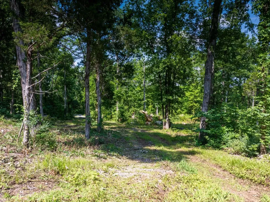 0 Mcelroy Road Readyville TN 37149