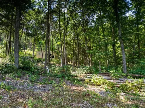 0 Mcelroy Road Readyville TN 37149