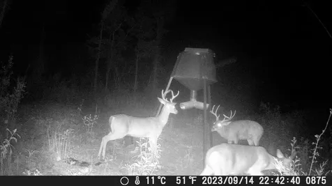 0 Mcelroy Road Readyville TN 37149